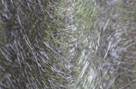 Maidwell fibreglass roof work